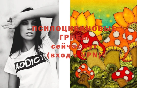 тгк Мегион