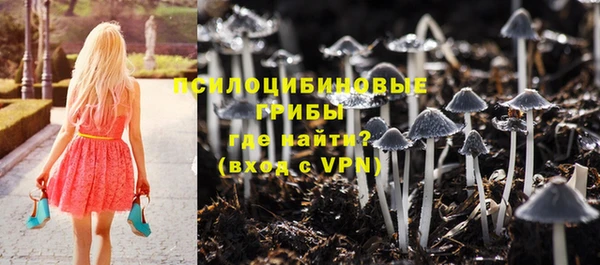 не бодяженный Медногорск