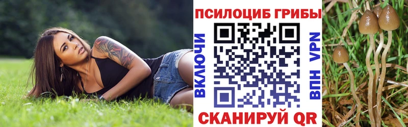 Псилоцибиновые грибы ЛСД  Ростов-на-Дону 